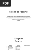 Manual de Posturas