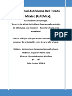 Trabajo Antropología Rural-Urbano