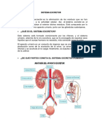 Sistema Excretor