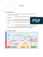 Week 6 Quiz and Homework PDF