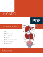 Glandulas Anexas Del Tubo Digestivo