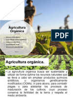 Agricultura Sostenible