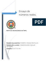 Ensayo de Numeros Reales PDF