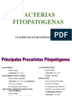 Bact. Agroforestal