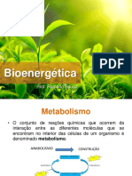 Bioenergética PDF