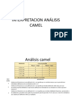 Interpretacion Análisis Camel