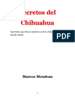 Secretos Del Chihuahua