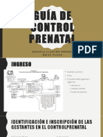 Guía de Control Prenatal: Daniela Llantén Méndez Erick Plaza