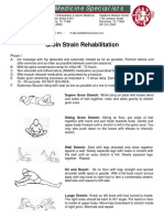 Groin Strain Rehabilitation PDF