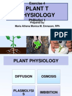 Plant T Physiology: Exercise 4