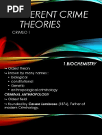 Different Crime Theories: Crimso 1