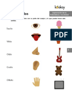 Los 5 Sentidos PDF