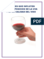 Factores Que Influyen en La Composicion de La Uva y en La Calidad Del Vino