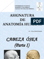 Cabeza Ósea I PDF