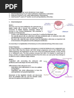 Embryology Notes em