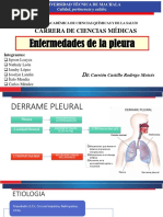 Enfermedades de La Pleura