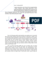 Hematopoiesis by Rasma