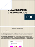 Metabolismo de Carbohidratos