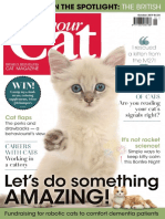 Your Cat - October 2019