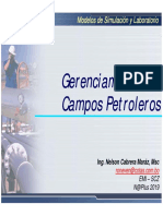 Gerenciamiento de Campos Petroleros