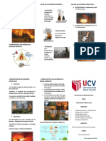 Triptico Incendio Forestal