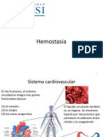 06 Hemostasis