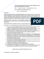 Acta de Audiencia de Ofrecimiento de Prueba. Agresion Sexual