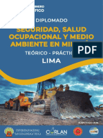 Seguridad, Salud Ocupacional Y Medio Ambiente en Minería: Diplomado