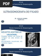 Ultrassonografia Do Figado - Patologias