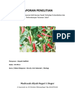 Penelitian Pengaruh Kulit Kacang Tanah Terhadap Pertumbuhan Tanaman Cabai