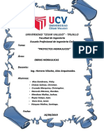 Informe Proyecto Hidraulico