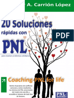 20 Soluciones Rapidas Con PNL