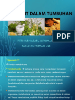 Metabolit Dalam Tumbuhan