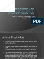 Introduction To Animal Production