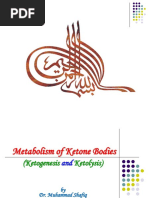 Metabolism of Ketone Bodies