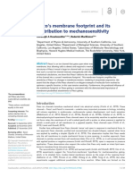 Piezo's Membrane Footprint and Its Contribution To Mechanosensitivity