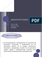 HEMATOPOYESIS