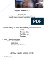 Lecture 14 Equine Infertility