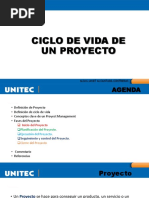 Ciclo de Vida DE UN PROYECTO PDF