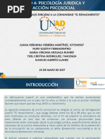 Paso 4 - Psicologia Juridica y Acción Psicosocial