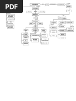 Mapa Conceptual Phubbing