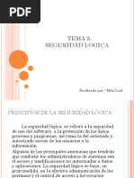 Seguridad Logica PDF