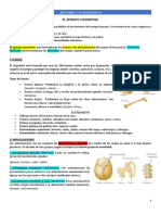 Anatomía 1º Bachillerato