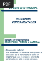 Tema 5 Los Derechos Fundamentales