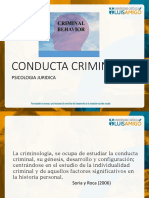 Conducta Criminal