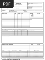 Modelo Parte Diario PDF