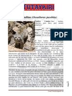 El Gato Andino PDF