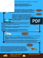 Infografia Esttrategia Oceano Azul - Proyecto