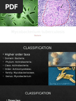 Mycobacterium Tuberculosis