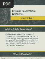 Cellular Respiration